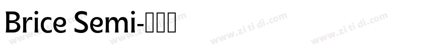 Brice Semi字体转换